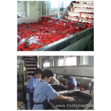 Fruit Lifting Washing Sorting Combiner